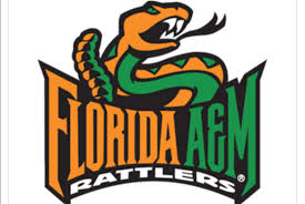 Florida A&M University banner